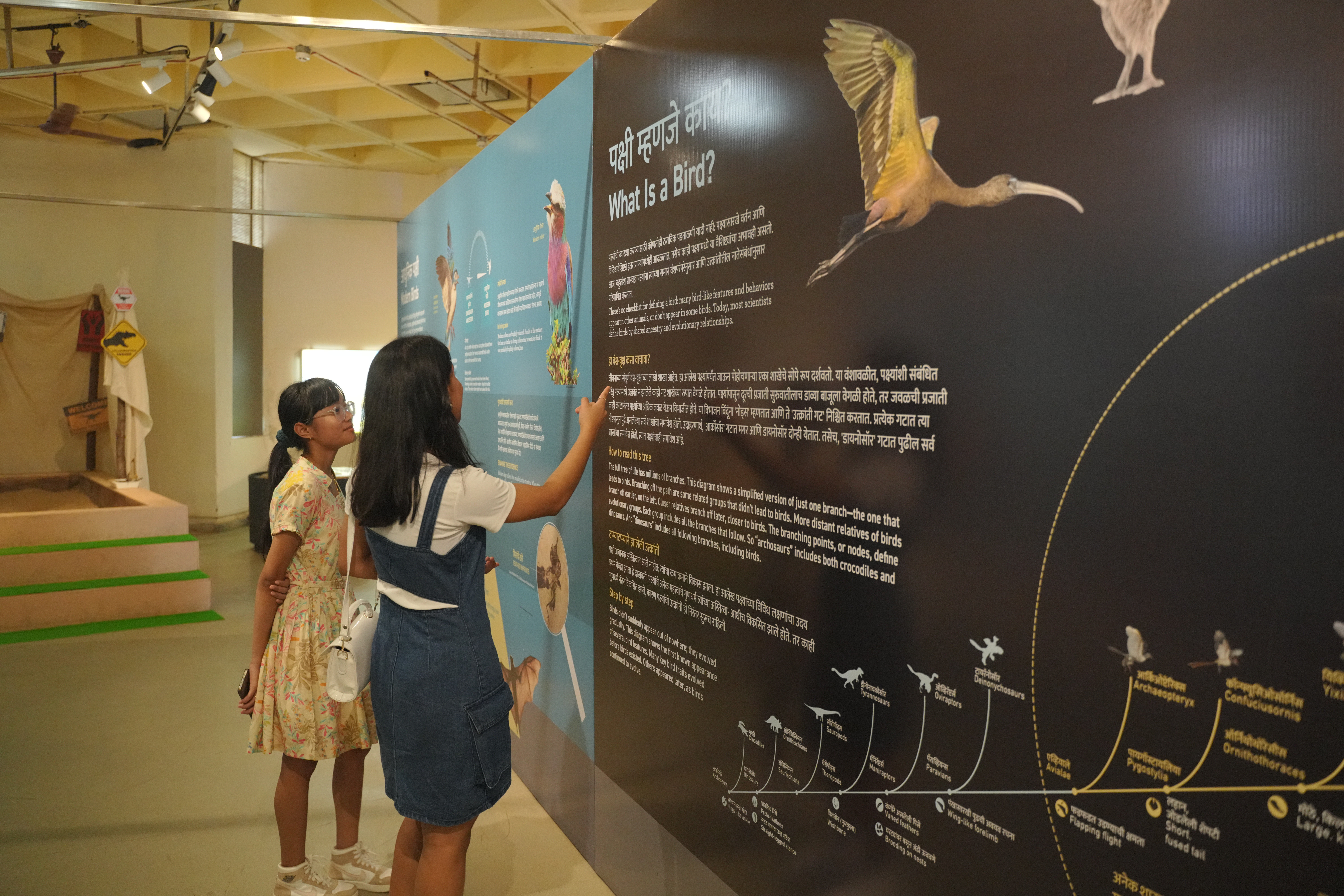 Two visitors tracing the What Is a Bird evolutionary tree on the exhibition wall