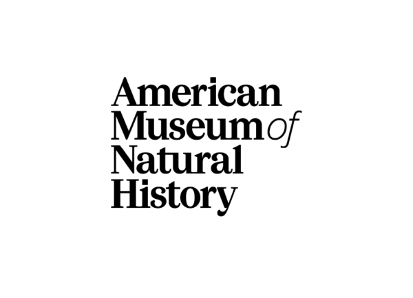 Resized-logos-for-american.png